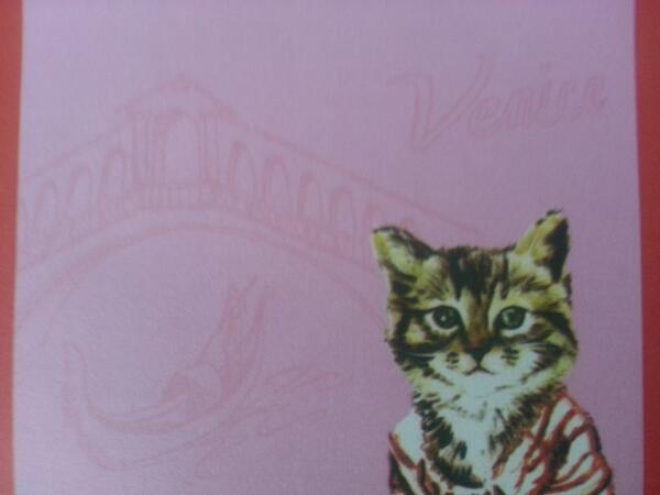 FlickingerSTEM's tweet image. Best office supply buy. Post-its featuring a pic of a cat w/ Venice (Rialto Bridge) in the bg #randombutbrilliant