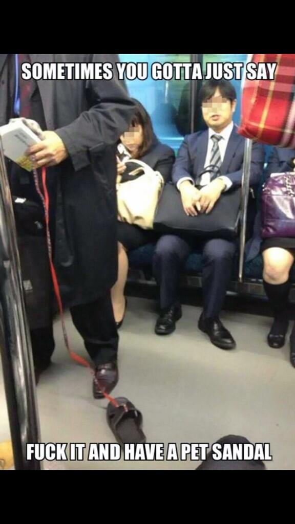 OfficialEmmaB's tweet image. 😂😂😂 needed this laugh today!! Fuck it, I'm getting one!!!😂😆😆