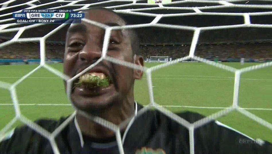 World Cup Fever Fun & some Biting - Happy biting. World Cup Fever Fun & some Biting - Happy biting.