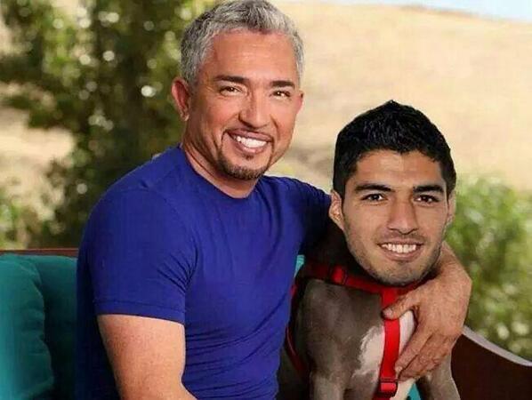 panshoop's tweet image. #elperrosuarez