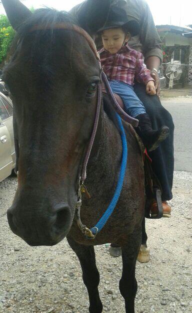 ArlinaArosemena's tweet photo. Hay Juan!! @penonomenos @penonome14 @chitreanos @lavillals http://t.co/RusNLCHO6Z