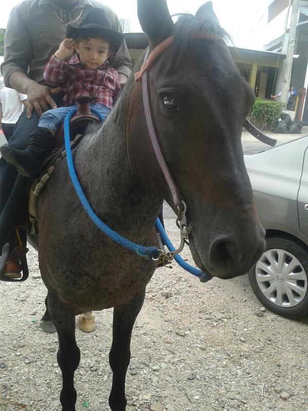 ArlinaArosemena's tweet photo. #Penonome San Juan @penonomenos @PENONOME2014 @Cocle_C2 http://t.co/D54qzYUz4u
