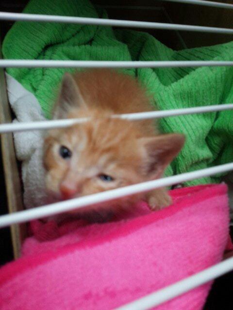 hana_ko45's tweet image. 病院移動中なう！