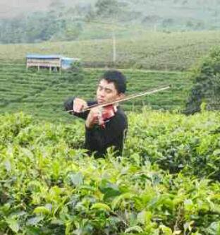 Air On G-string... kemuning-solo. ;)