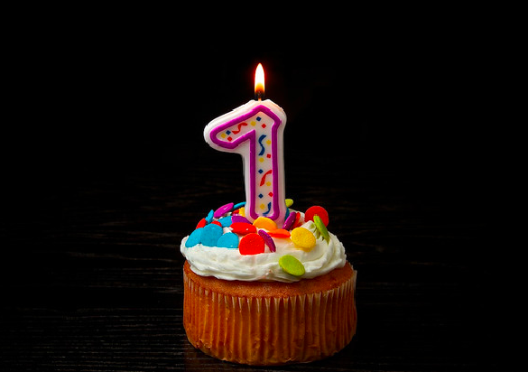 NoiseRefinery's tweet photo. Noise Refinery is proud to announce our one year anniversary! http://t.co/I8dEGNuq7R