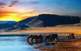 KirstenHenry's tweet image. 6 Lessons Travel Teaches You That College Never Will....
huff.to/1l4ggqN