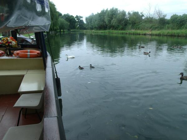 Further pics from <a href="/ploughfenditton/">The Plough</a> 
Make the most of the lovely weather and wildlife along the river