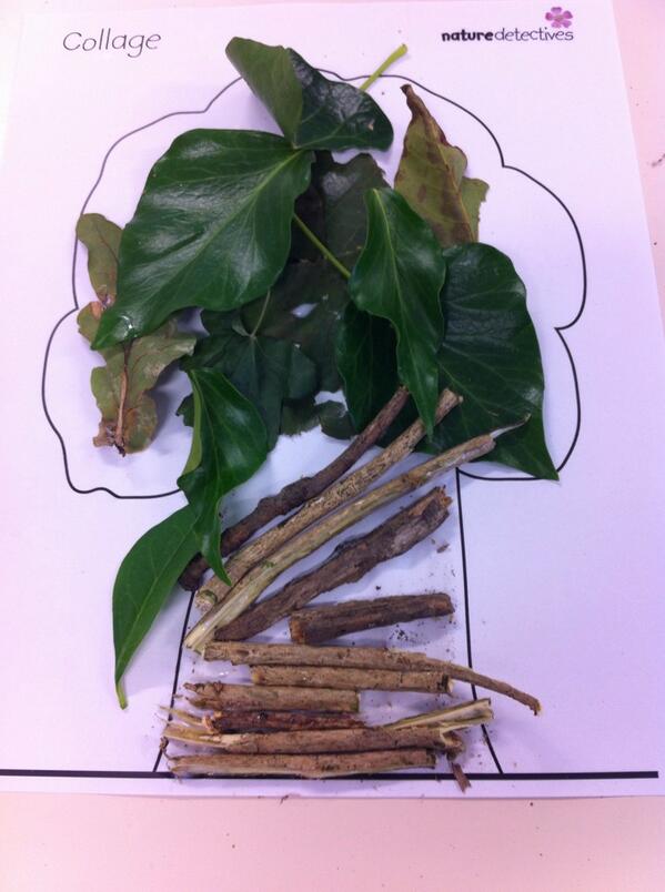 Class6HPS's tweet image. This is my tree collage that I made with green leaves and twigs. Morgan