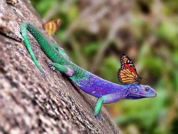 ybh4618's tweet image. 