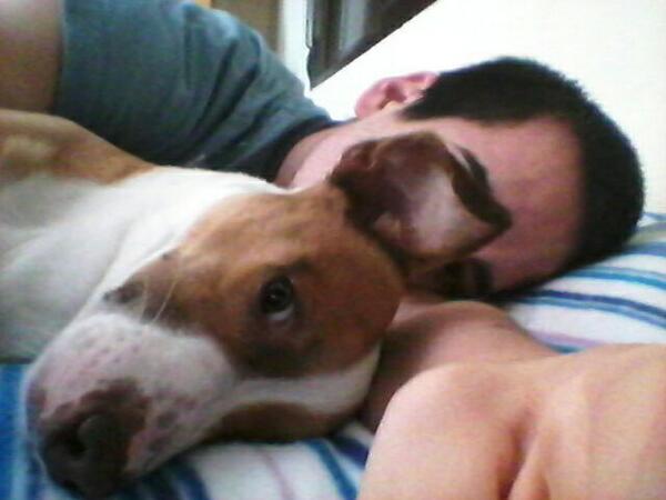 FernanGarciaz's tweet photo. Te voy a echar de menos hijo de perra http://t.co/61WAcA9gvm