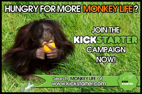Primate_Planet's tweet photo. Join the Monkey Life Kickstarter Campaign now! http://t.co/a9w2F6GqWi #Monkeylife http://t.co/gF7e8ubL2f