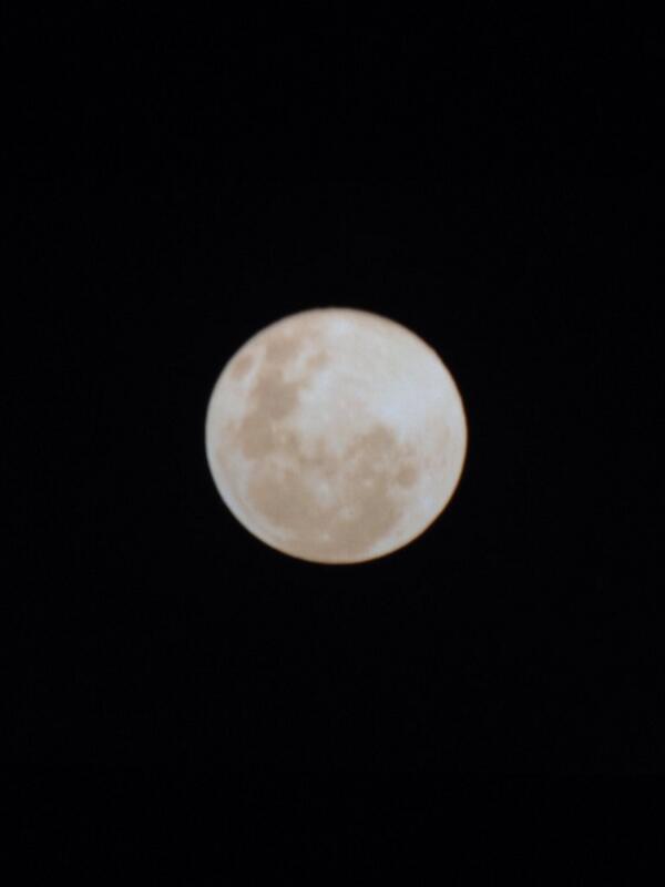 Won't see the moon like this again until 2049. Brave the cold and check it out :) #strawberrymoon