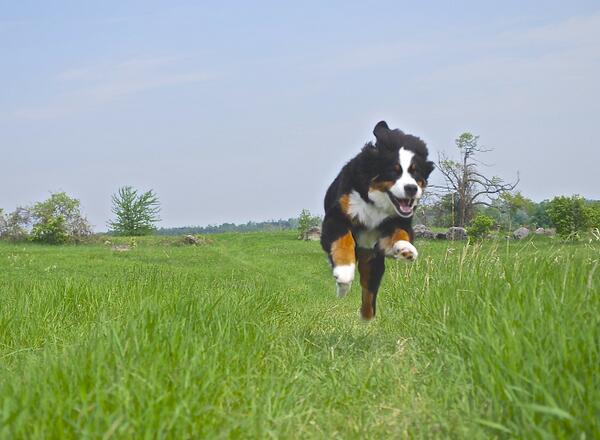 The Weather Network tweet media