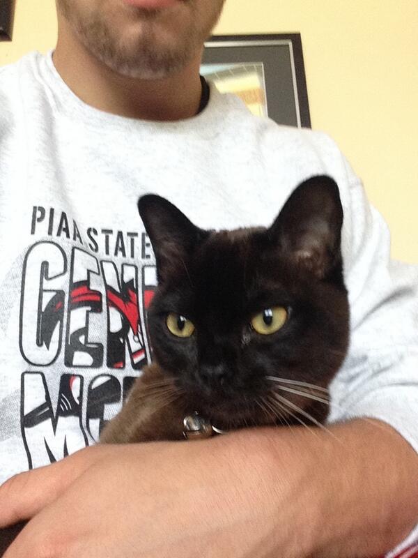 d_dwitchell's tweet image. That last tweet was typed by my cat, Nelson #swag #money #catflow #booty #meow