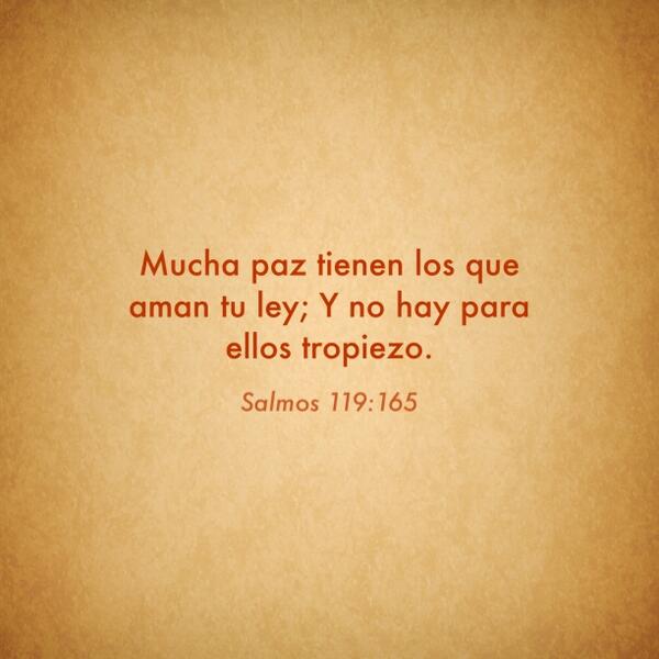 BestCreditFix's tweet image. Mucha paz tienen los que aman tu ley; Y no hay para ellos tropiezo. #biblesurprise