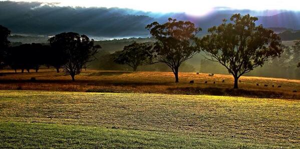 ArchibaldMandy's tweet photo. Sunrise from my bedroom :) http://t.co/drmo1W5cOQ
