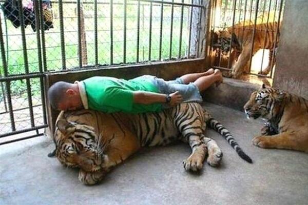 CNN_Newscast's tweet photo. Stupid things that you'll never believe people actually do... » http://t.co/dLMxn6IONN

#10 Planking on a Tiger http://t.co/Z3ikd8sMEJ
