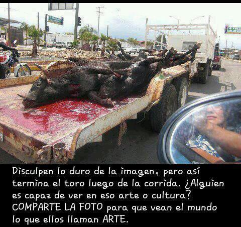 SEMIDIOSRAMSES's tweet photo. RT SI ESTAS DE ACUERDO... http://t.co/Xr9NQRL8qw