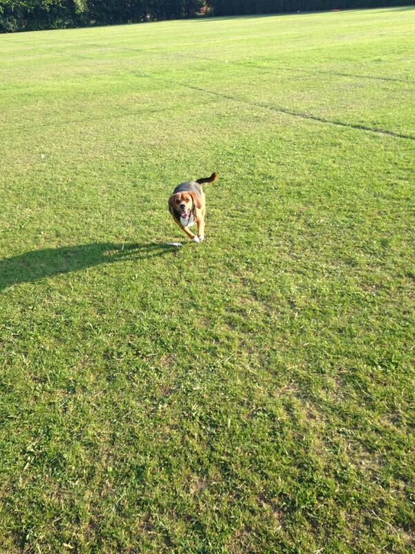 I love playing ball 🎾