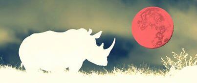 Tonight is a FULL MOON in South Africa. We pray all of the rangers &amp; #rhinos stay safe!