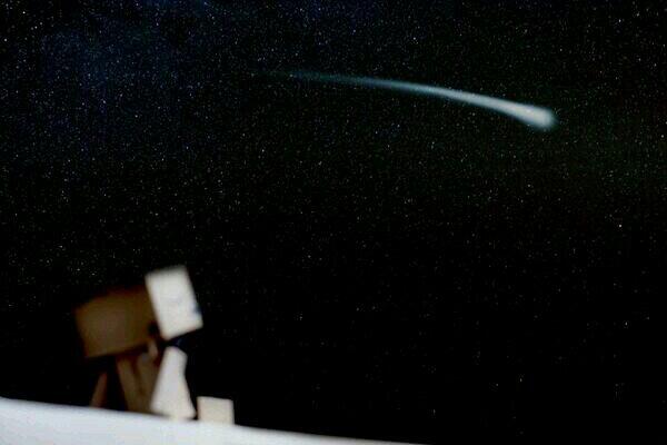Grolious_Moon's tweet photo. 帰ってきたらな、たぁにぎゅーしてちゅーして耳あむあむして、最後にガオーッてしてやるねんっ←

ん…。寝るな、たぁー←

たぁの夜空に優しい星が流れますように。
おやすみなさーいっ。 http://t.co/ftGYowLIIT
