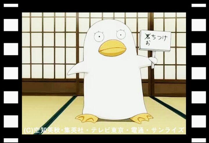 Twitter 上的 銀魂キャラステ 第４期だぁぁぁああ エリザベス 性別 男 身長 180 体重 123 誕生日 9 7 好きなもの 桂 コロッケパン 特徴 アヒルっぽい ボードで会話 名言 俺は桂さんの友として死ねるならそれでいい Http T Co Fc6f4zewui Twitter