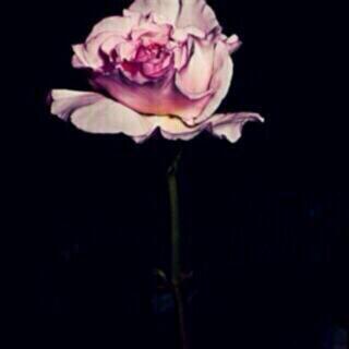 yoofa567's tweet photo. #رمزيات #رمزيات_بلاك_بيري #رمزياتي #رمزيات_BBM #رمزيات_بي_بي http://t.co/vhYIYaKhI9