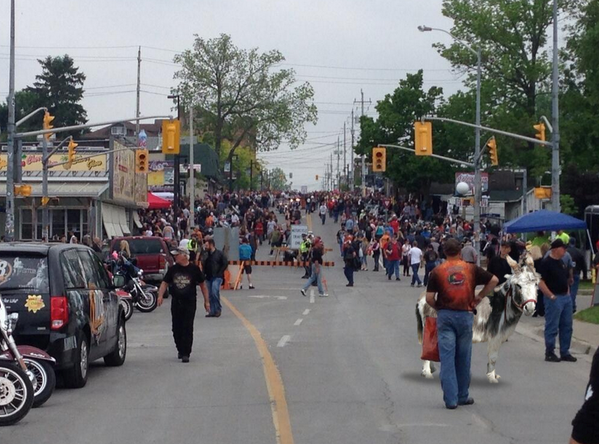 NorfolkTour's tweet photo. Hey @DonkeyContest we see u just couldn't stay away on such an important day #fridaythe13th - all the best to u! http://t.co/V1wnNJz7QH