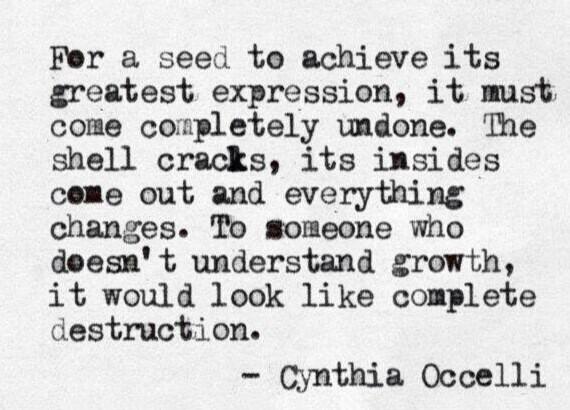 TneaL2212's tweet photo. Absolutely LOVE this! Thank you for sharing @MH10884 xxO #grow #achieve #change #motivated #justwhatineeded #quotes http://t.co/jf9492tu4N