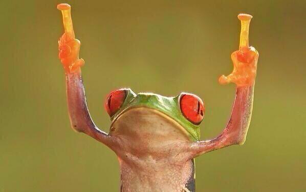 JourquinThomas's tweet photo. Moi en ce moment : fuuuuuuck les examens !!! http://t.co/7Bkq9YHrQS