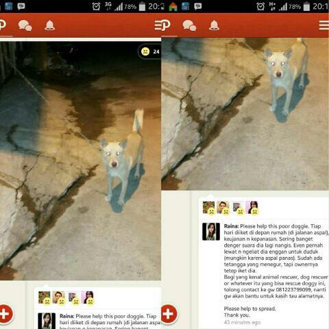 Please help this poor doggie :"( appreciate your kindest help.. <a href="/jaan_indonesia/">Jakarta Animal Aid</a>