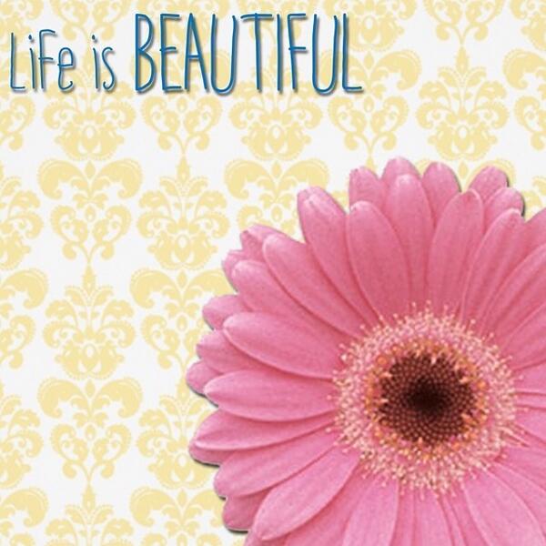 nyopolycom's tweet photo. It's even more beautiful on Fridays!!! #love #life #finally #friday http://t.co/MPlEALVFCf