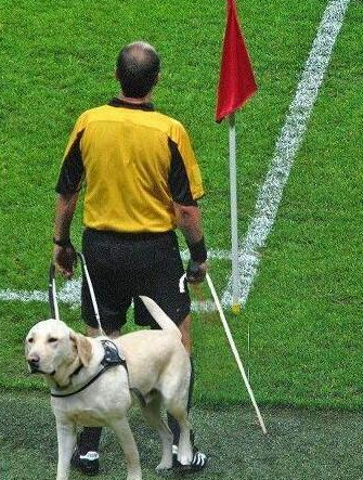 sopitas's tweet photo. El árbitro asistente... (vía @gabrielrevelo   #Mex 0-0 #CMR al 41 http://t.co/9WviUkDx1S http://t.co/vpT6iXH28N