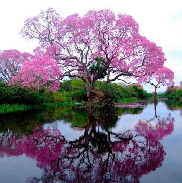 Samuel Ruiz (@samuel71pr) on Twitter photo 