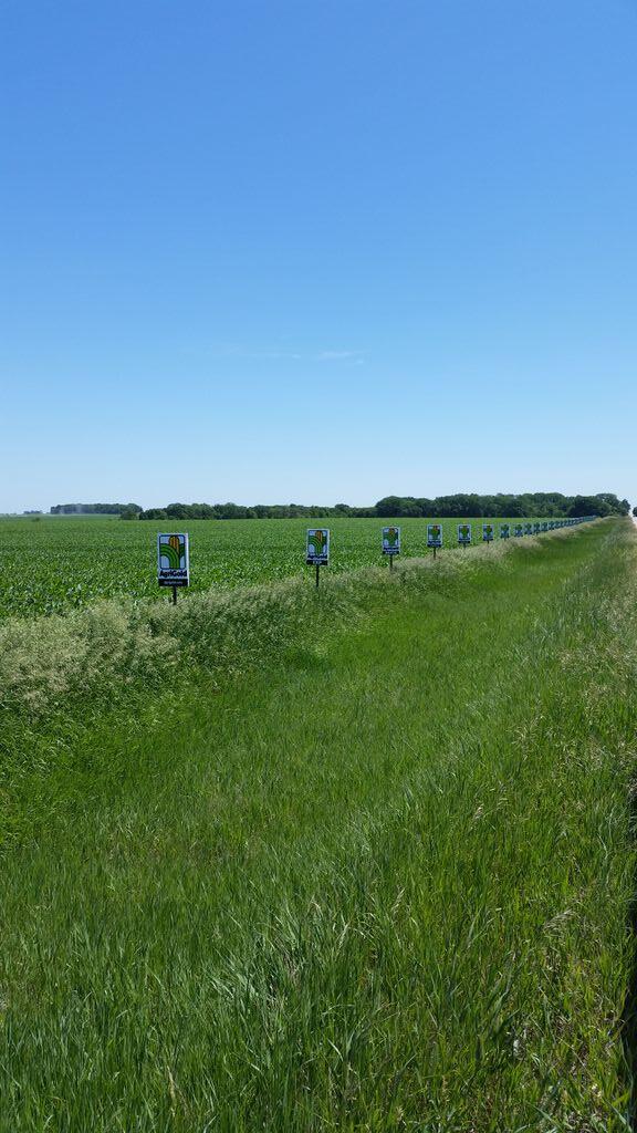 Richard_XL's tweet image. Gotta take a break from the road sign race and sign for research! @agrigoldhybrids @AgriGoldIntern #testplot #5