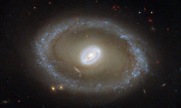 NASA's tweet photo. Taking center stage in this new @NASA_Hubble image are golden rings of star formation: http://t.co/bl1Fw50WWM http://t.co/QeW7ax0ZHx