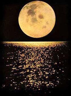 somethingtrue_'s tweet photo. Today's #fridaythe13th will include a #FullMoon. This wont happen again til 2049-anyone tying the knot? #weddingmagic http://t.co/WHA2vAHn91