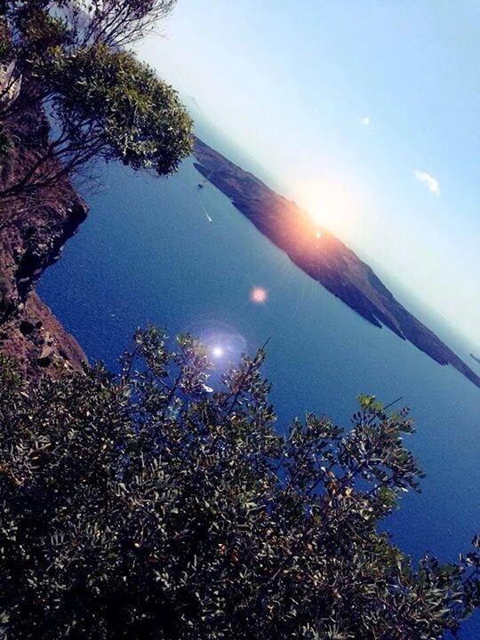 SantoriniTour's tweet image. Beautiful day !! 😎😎💛 
#Santorini #sundayfunday #beauty