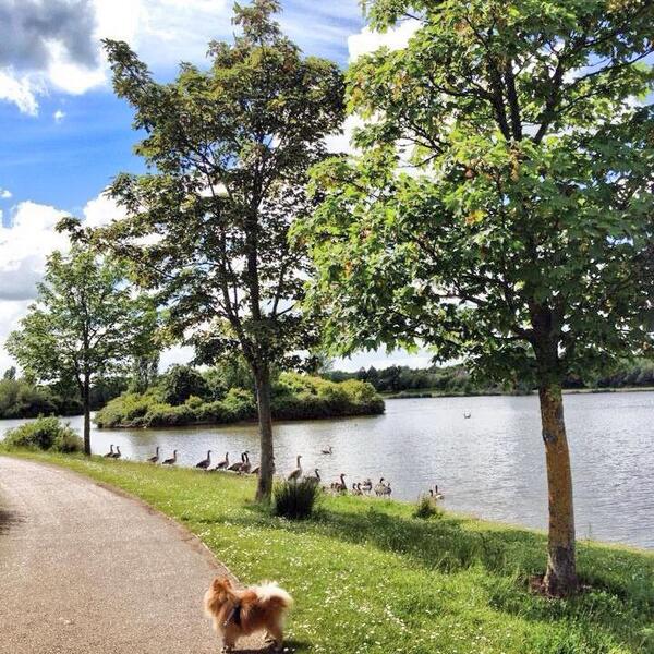 ReenaSharma's tweet photo. Found the perfect place to live! @FurztonLake http://t.co/24J7kCSGeK