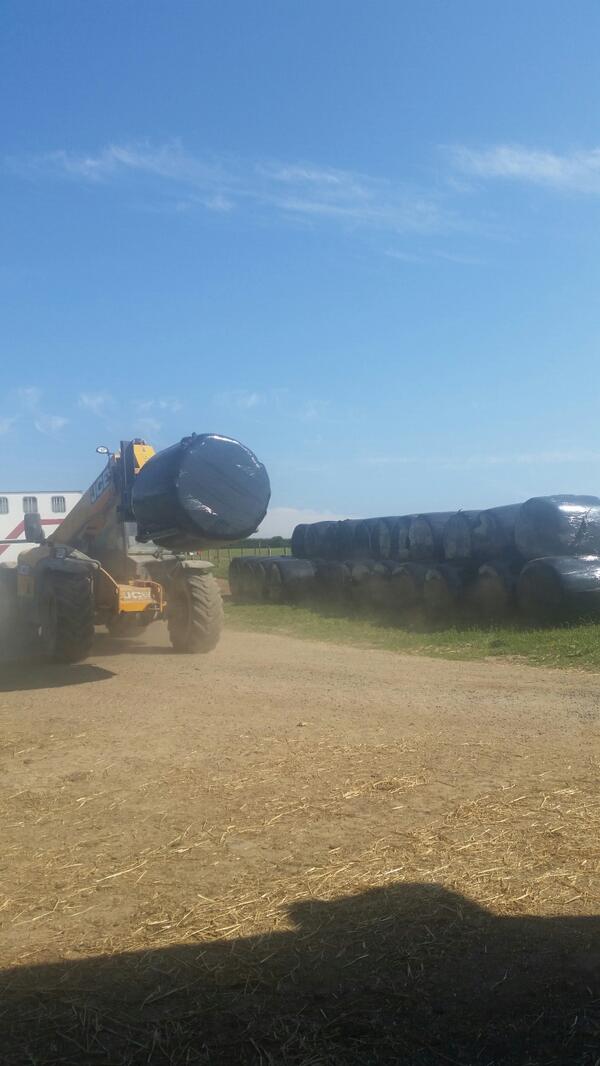 RClaringbould's tweet photo. Hay is in #thankgod #norain http://t.co/ZKAspMfR24