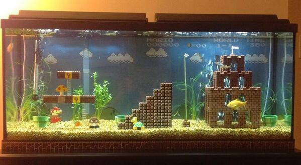 princess fish tank