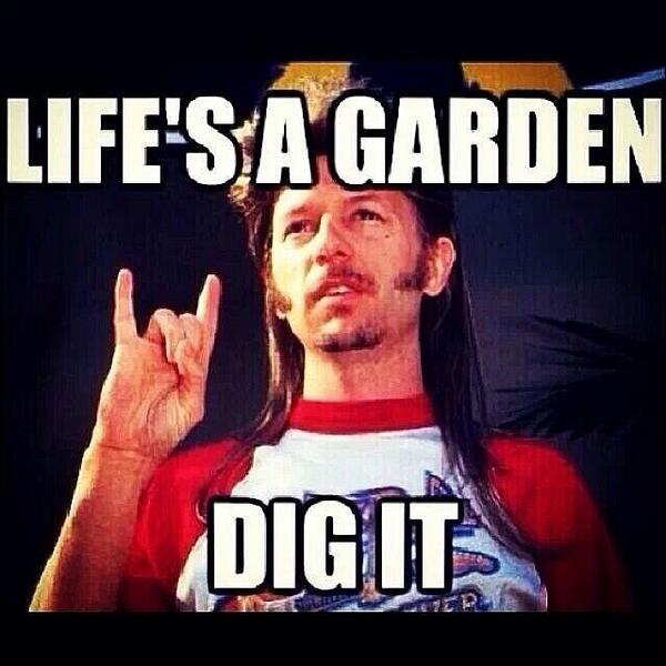 CloydRivers's tweet photo. Merica. http://t.co/KEWAArnIkS