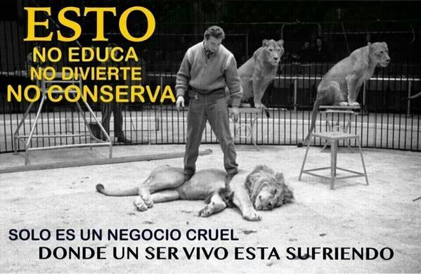 nydiacervera's tweet photo. #ManceraQueremosCircosSinAnimales Escucha ciudadanía! No más violencia!  @ManceraMiguelMX @GobiernoDF @amievajoserra http://t.co/2zMG8gQgqS