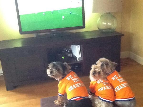 karinvormeer's tweet photo. Mama, broertje en zusje van Kismo ♡♡♡ http://t.co/nXQ1TfER6o