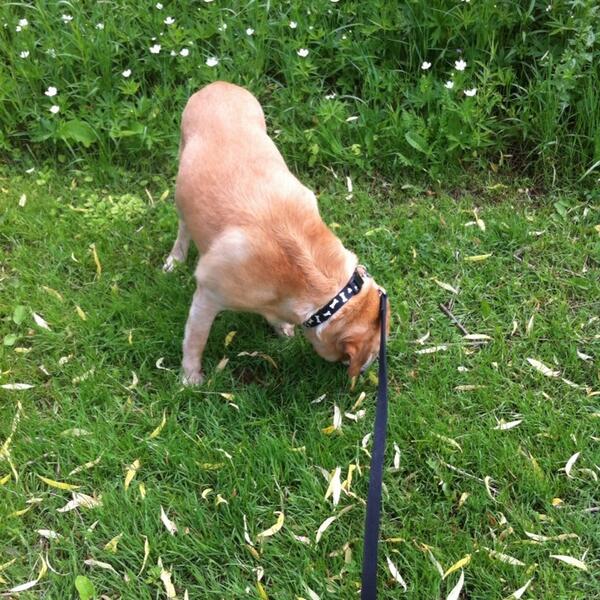 brettbacchus's tweet image. Every 5 feet #gettingnowhere