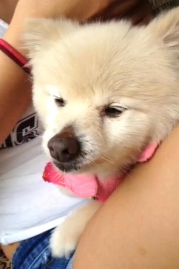 whitep0wder's tweet photo. @MadiBlacklock http://t.co/92yHV5pGVC