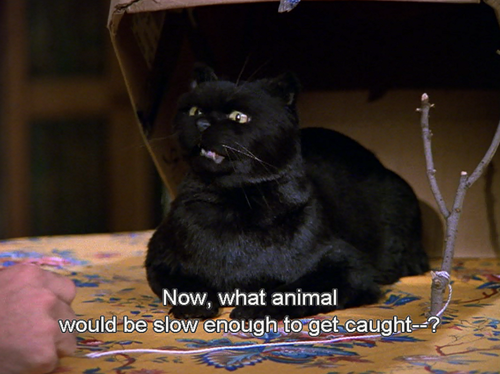 ABC on Twitter: ABC on Twitter: