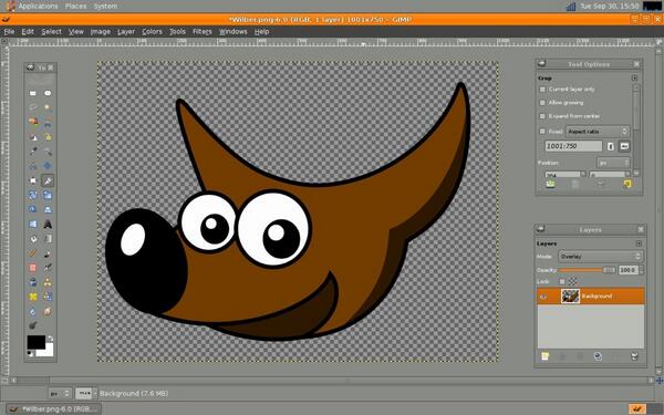 eeeb's tweet photo. Wilbur says your a pimp if you GIMP! #GNU #FSF #geeksta #OpenSouce http://t.co/HALRAUj1Av