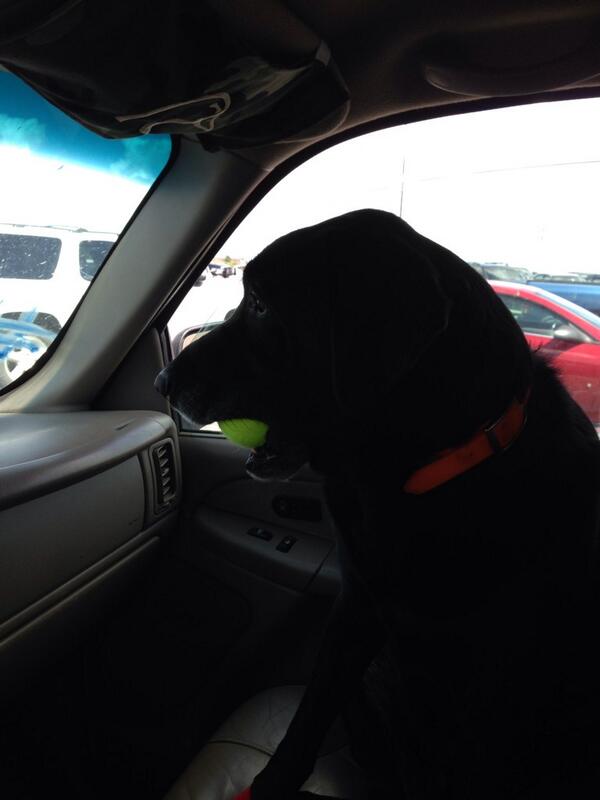 Matt_Euler's tweet photo. My boy with his favorite toy! http://t.co/2ivtNlgSKn