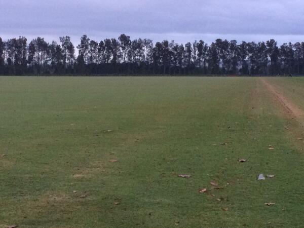 Grow grass grow. Another 3mm of rain overnight.